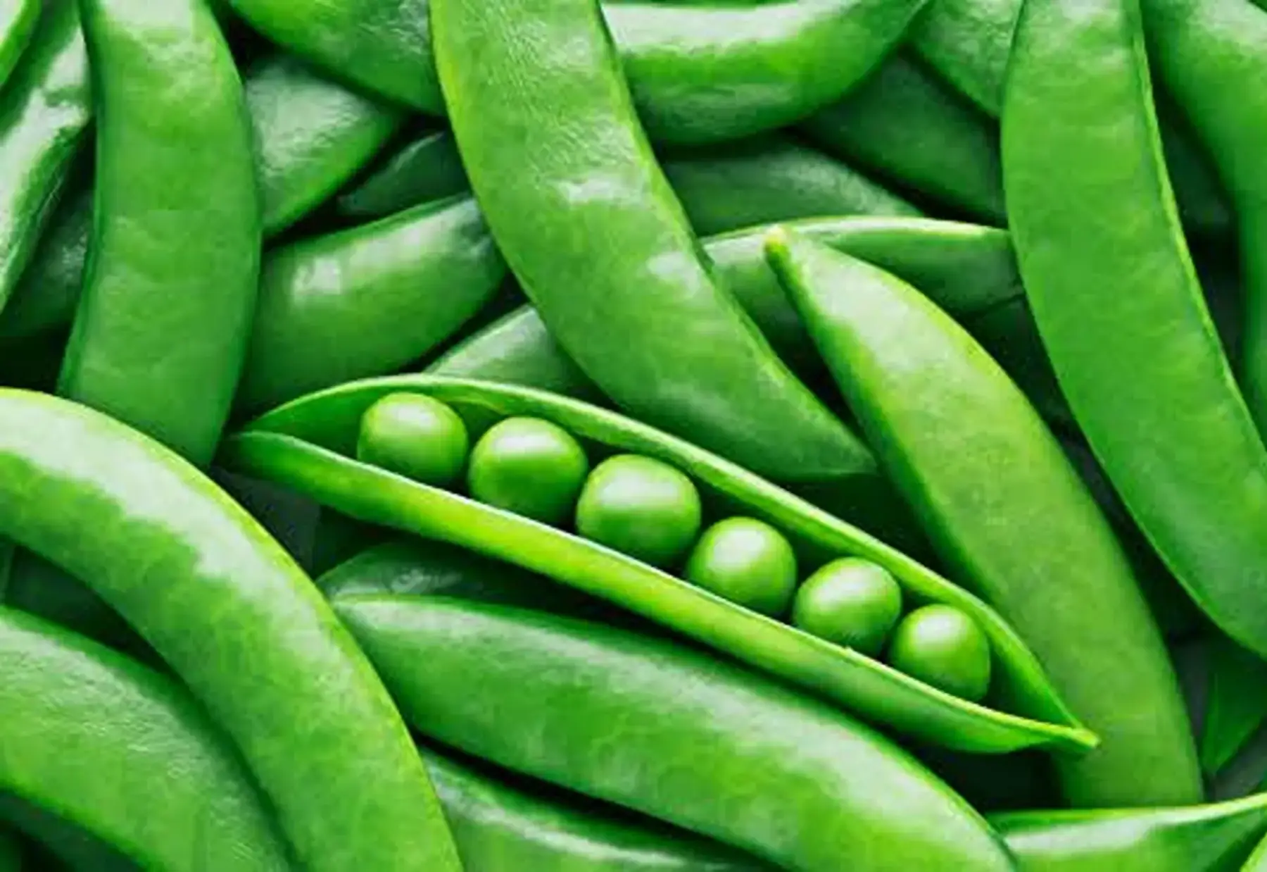 petit pois à écosser