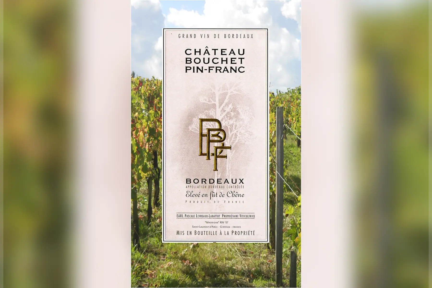 vin - crémant bordeaux rosé