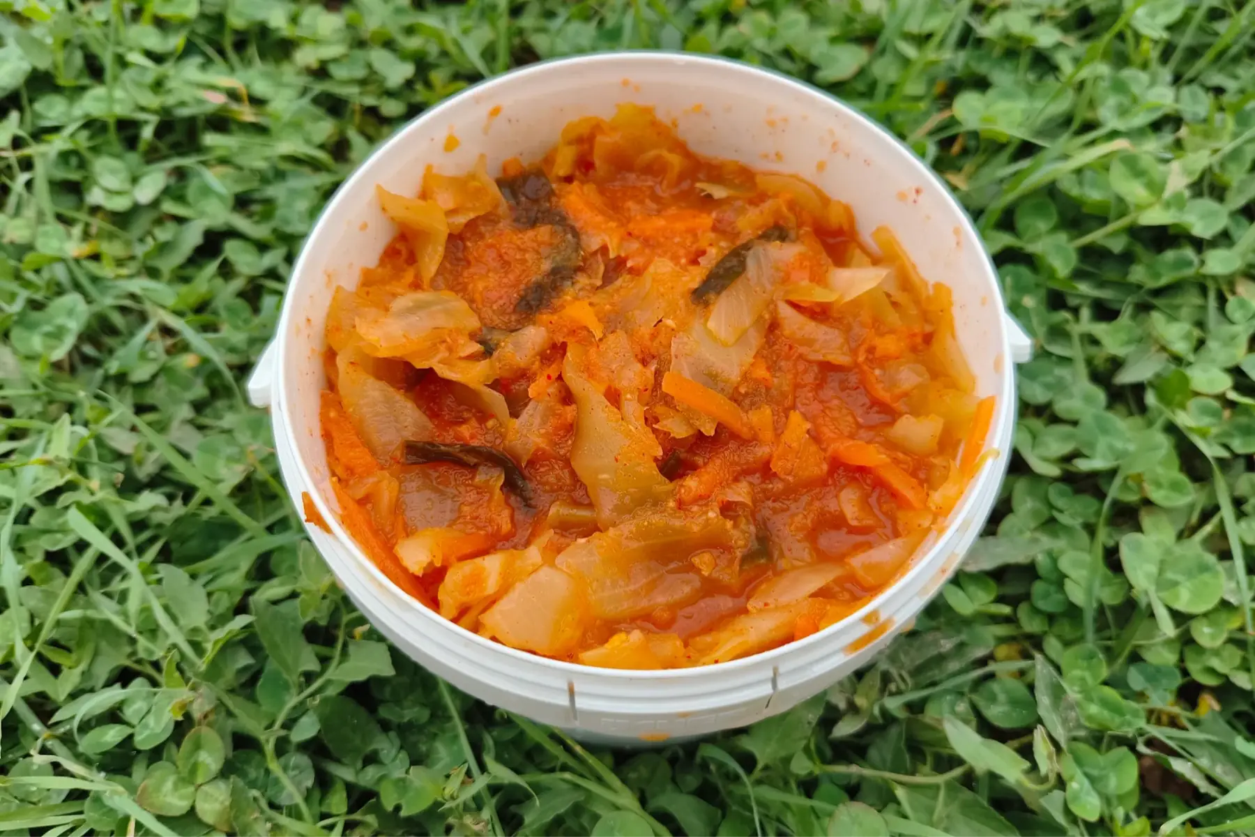 Kimchi
