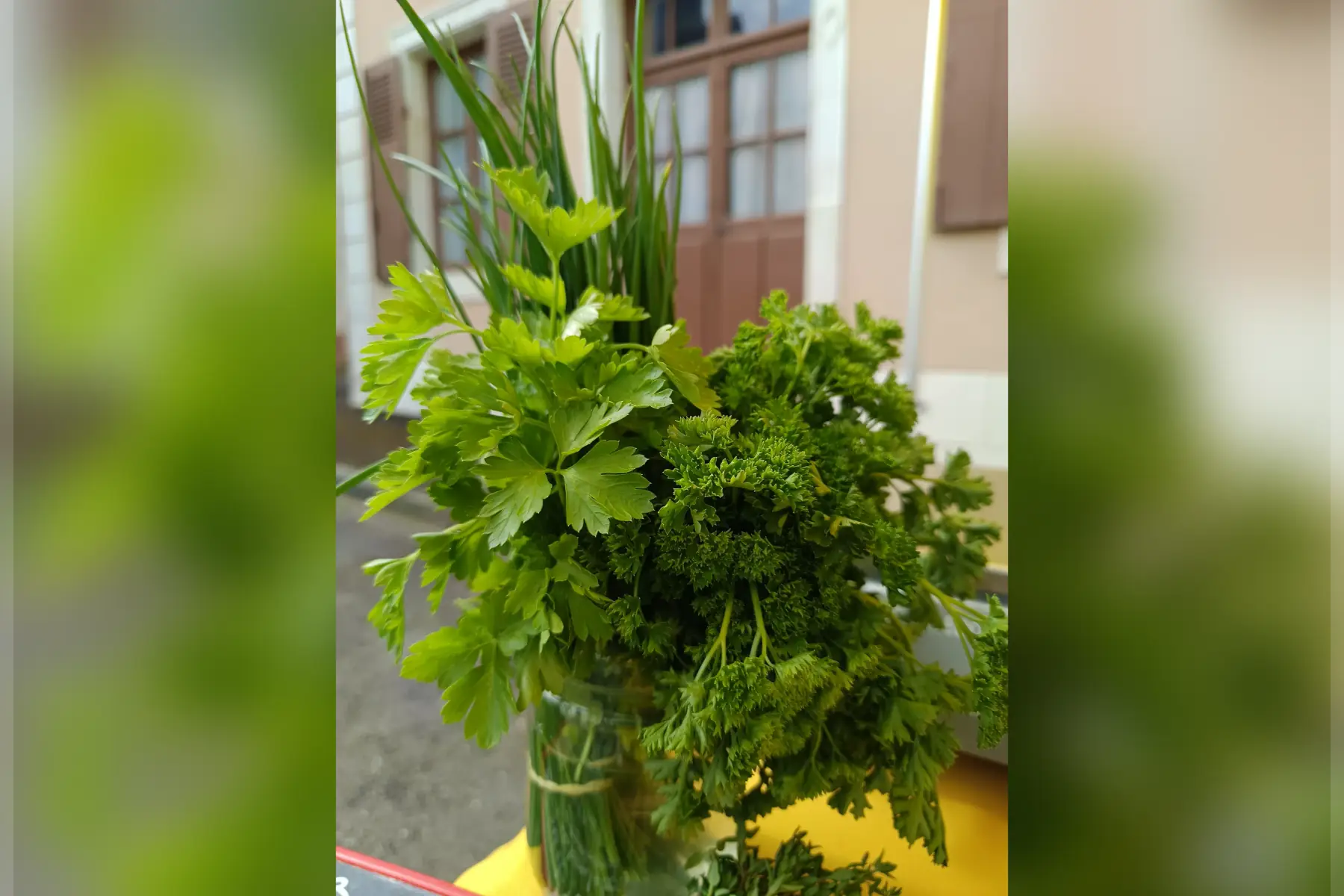 bouquet de persil plat