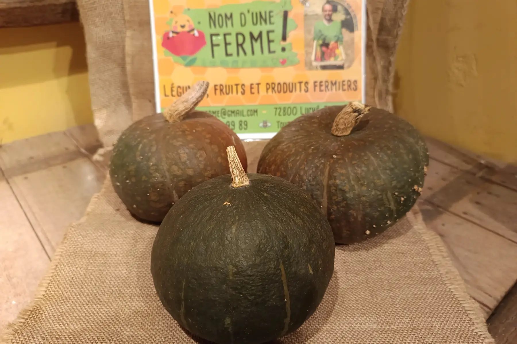 Courges potimarron vert Okaïdo