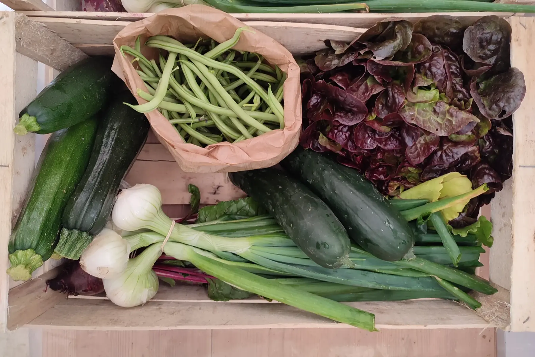 panier de taille intermédiaire de légumes de saison