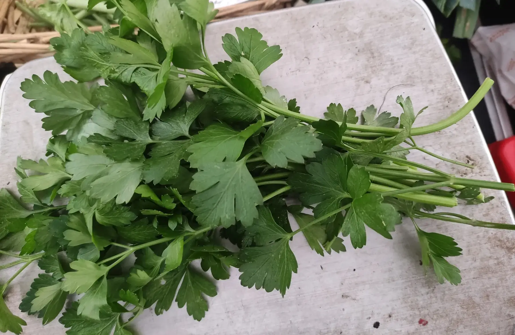 persil plat