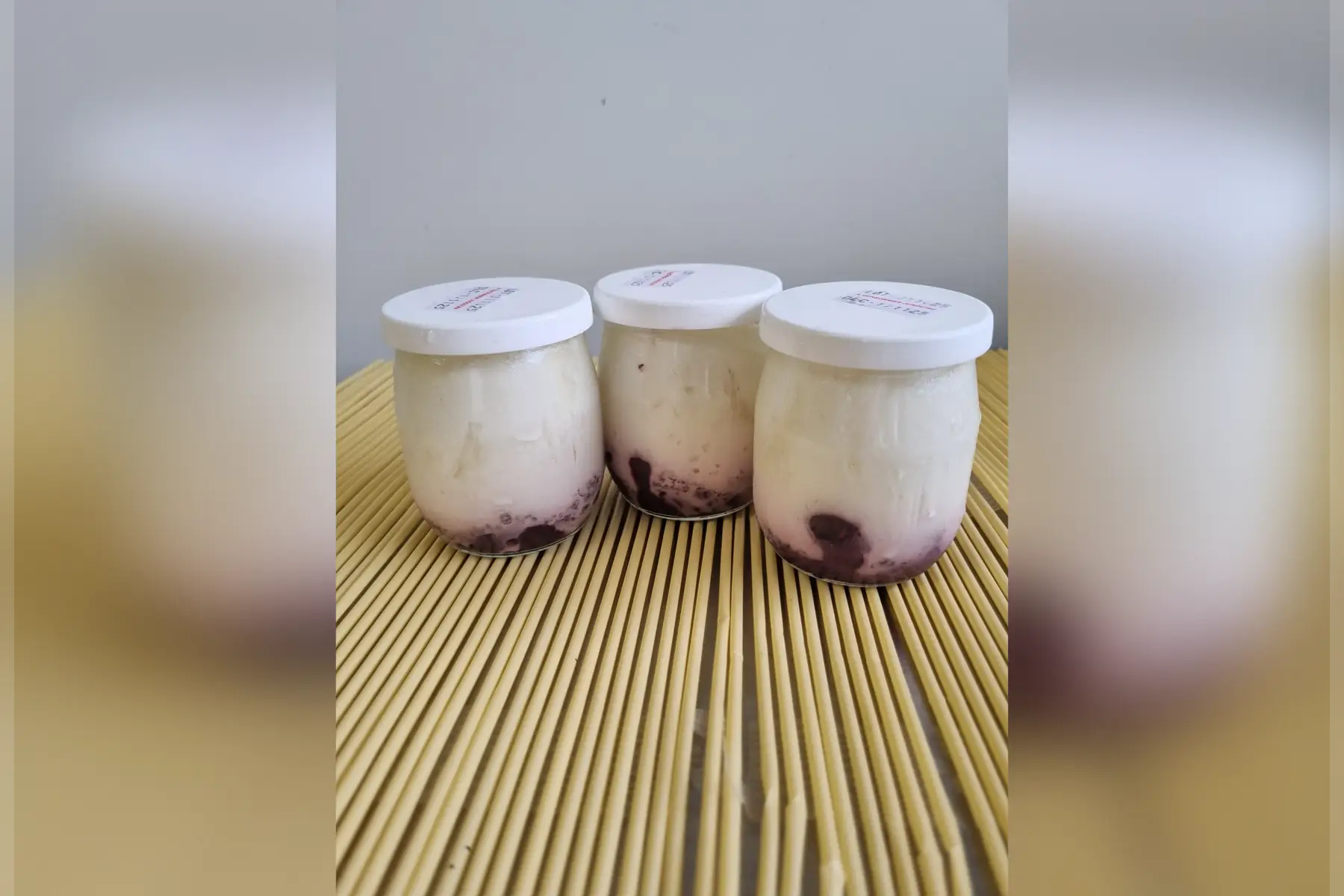 Yaourts fruits des bois