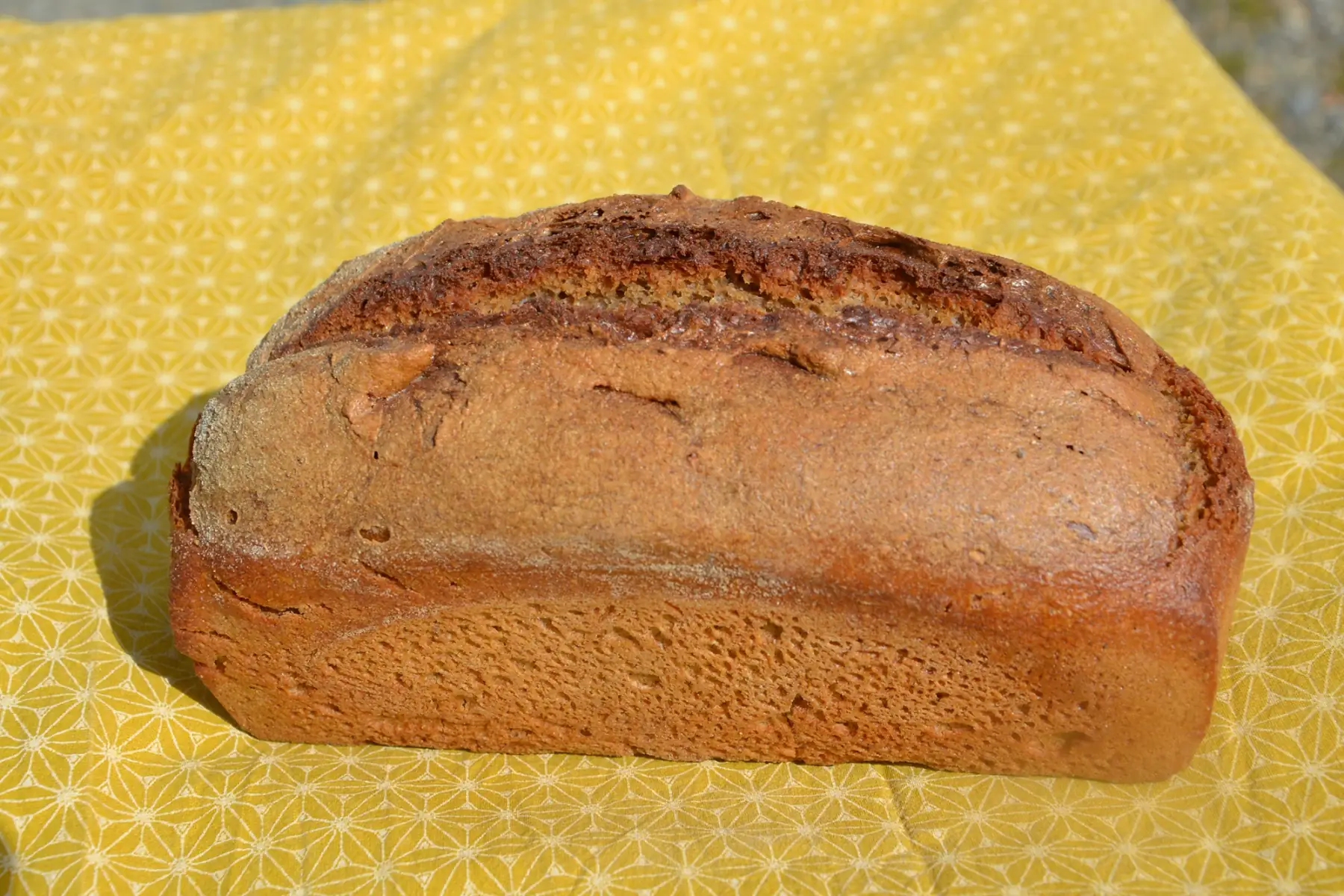 t80/ sarrasin moulé 500g