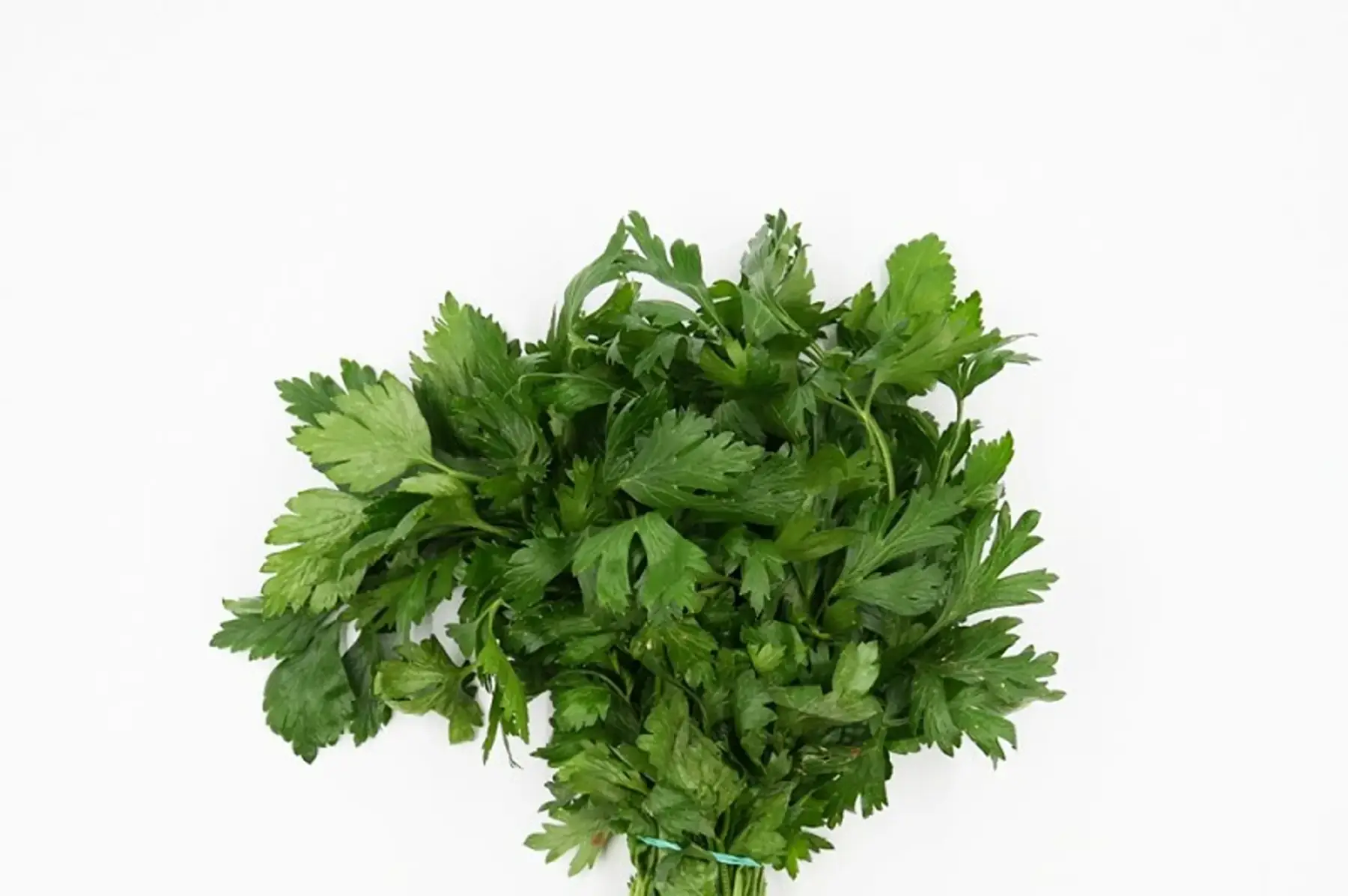 persil plat en botte