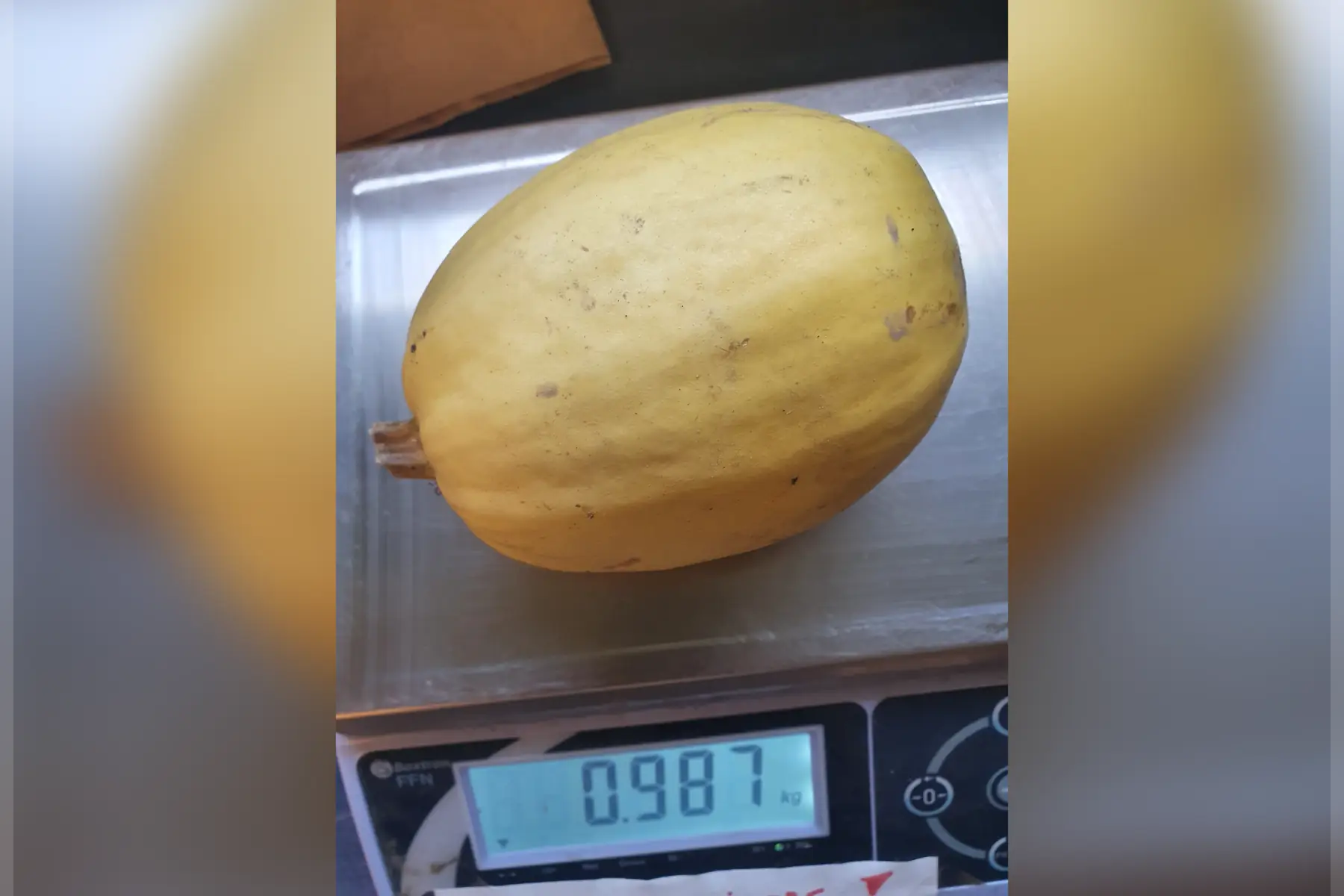 Courge spaghetti piece