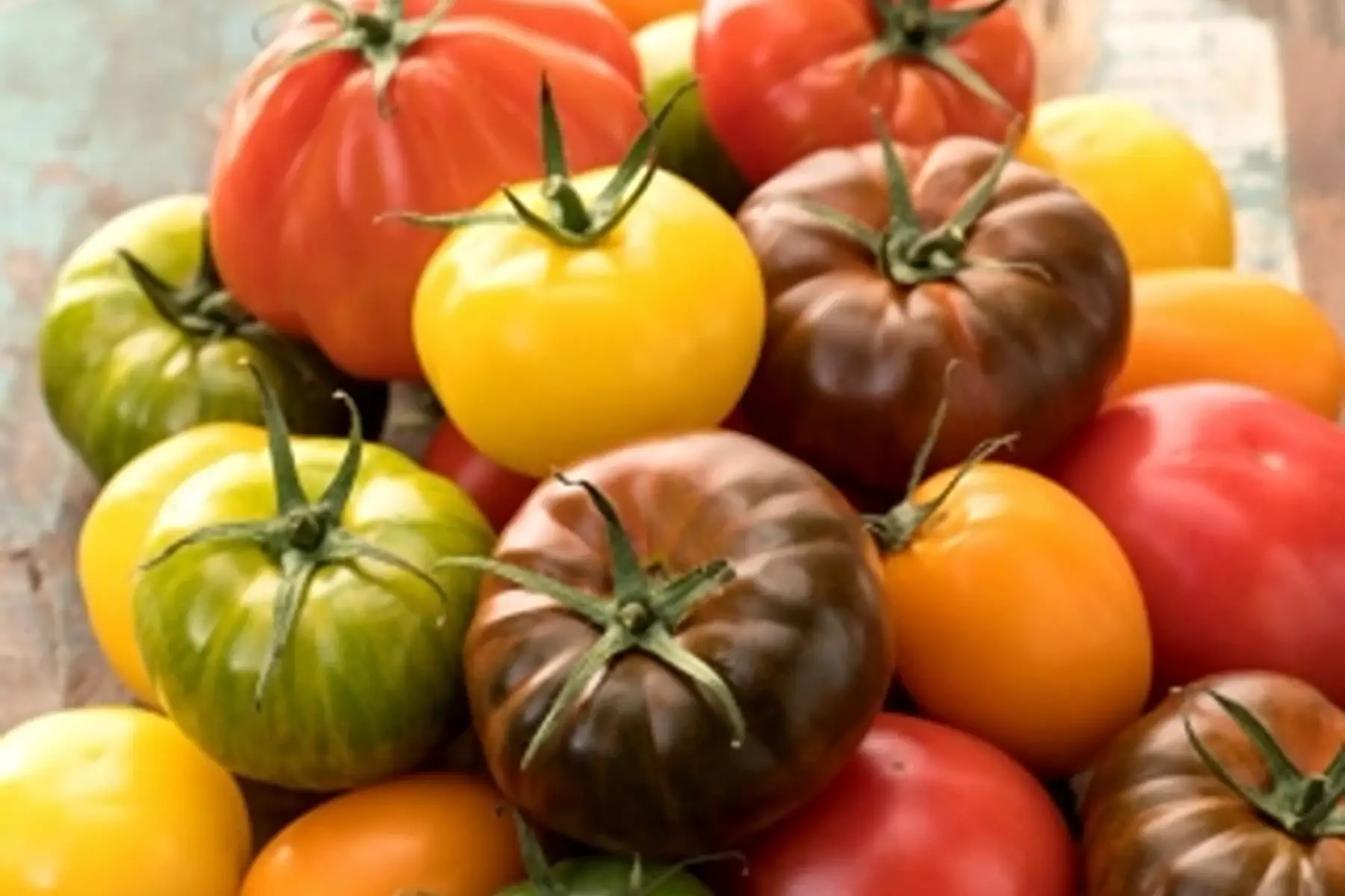 tomates en sachet de 1kg (anciennes)