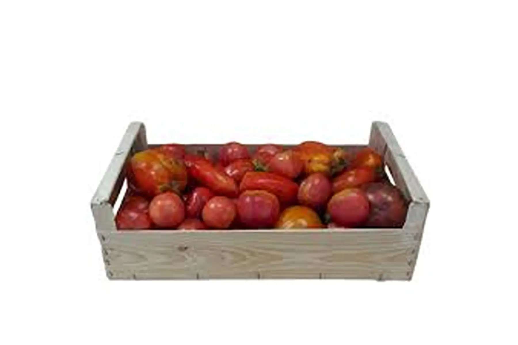 tomates à coulis, colis de 5 kg