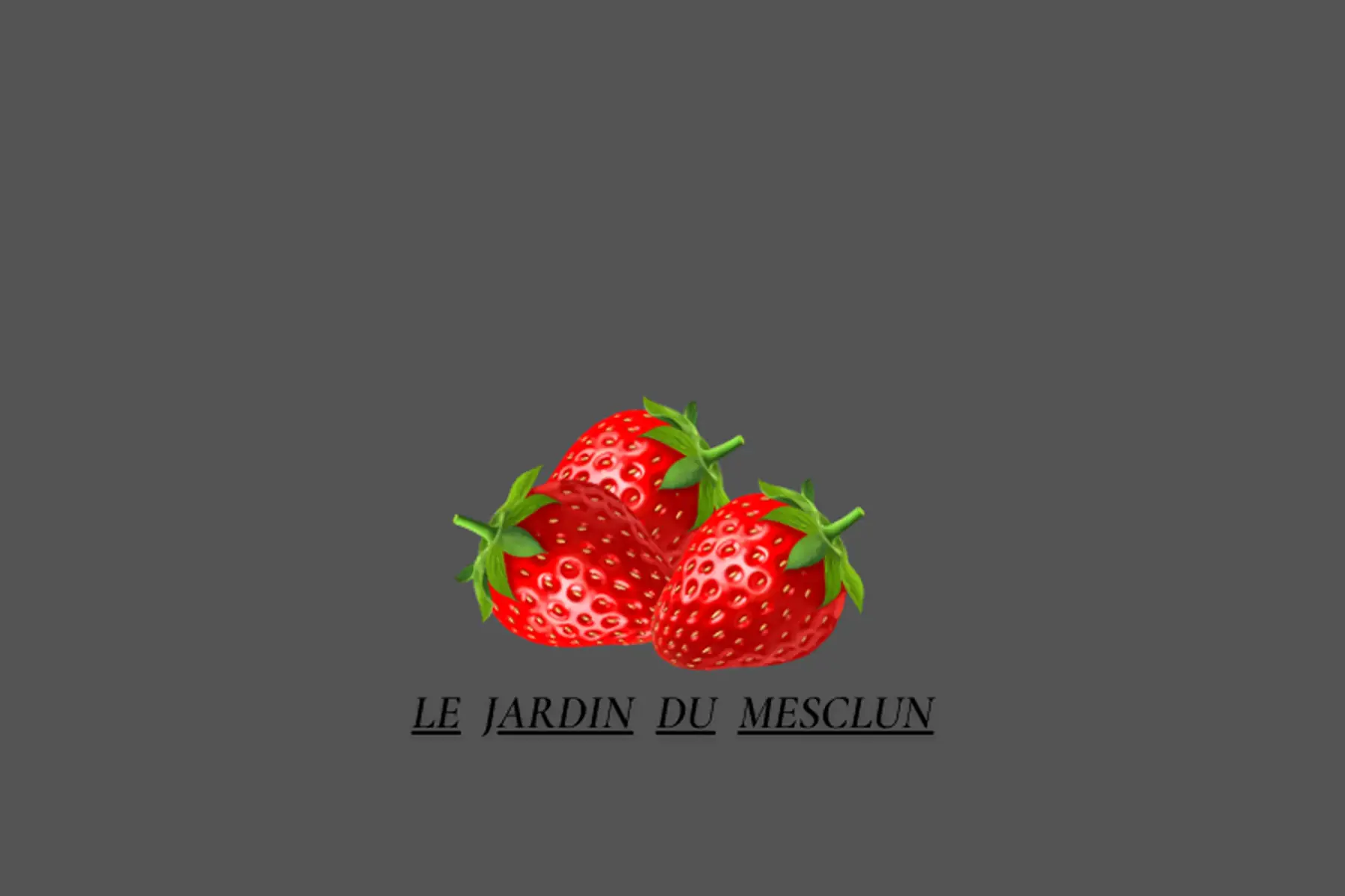 fraises Gariguette 250g