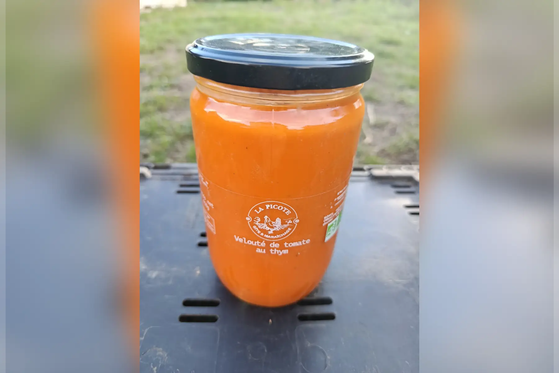 Velouté tomate au thym