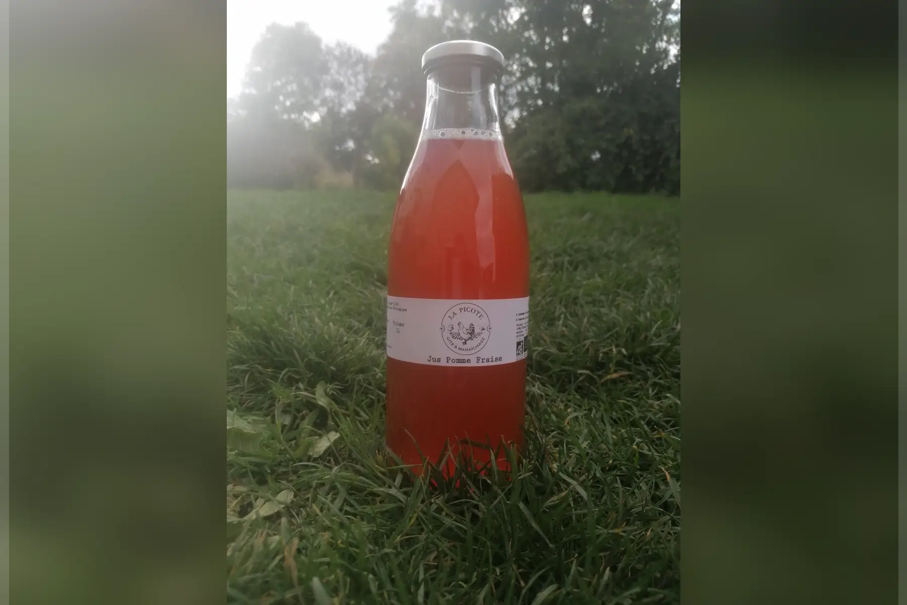 Jus pommes fraises 1L