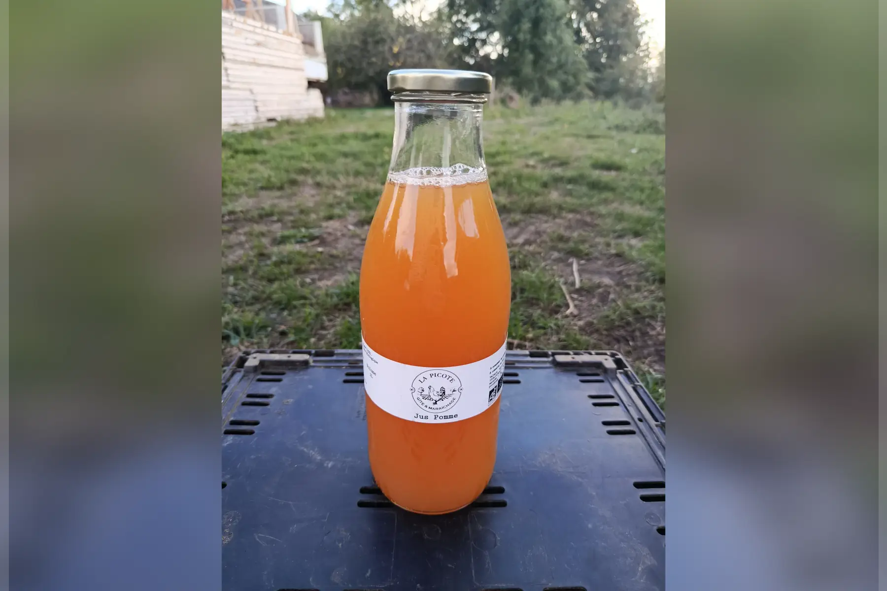 Jus de pommes 1L