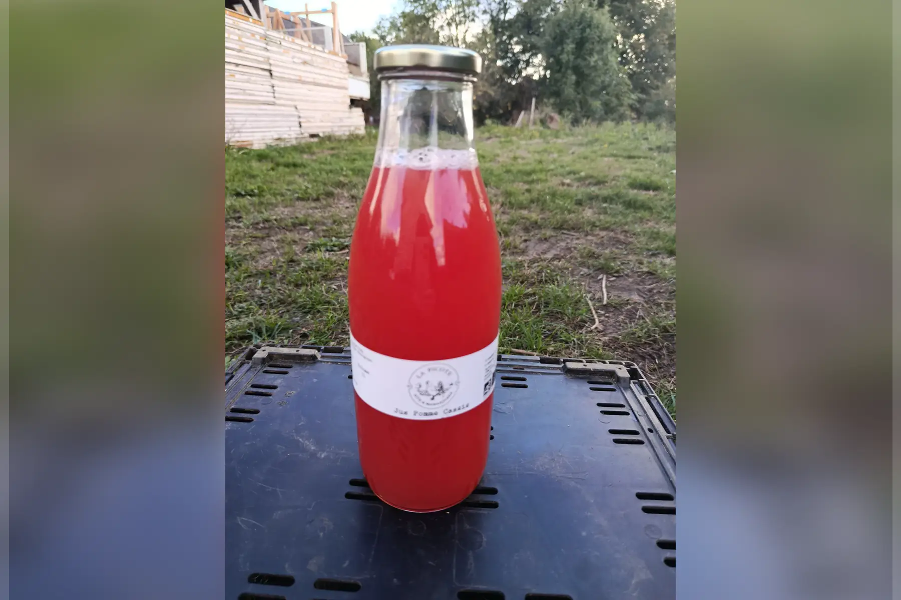 Jus pomme cassis 1L