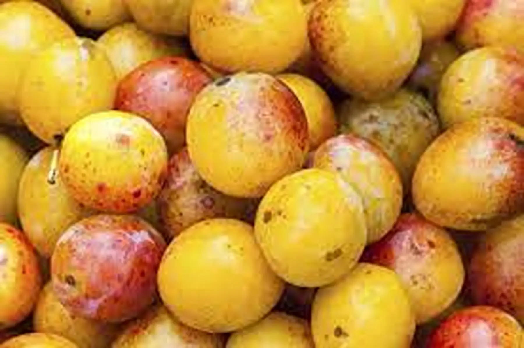 prunes mirabelle