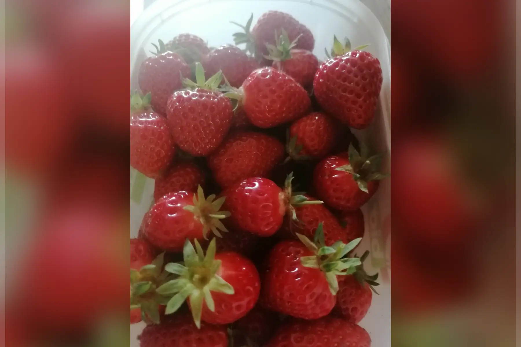 fraises