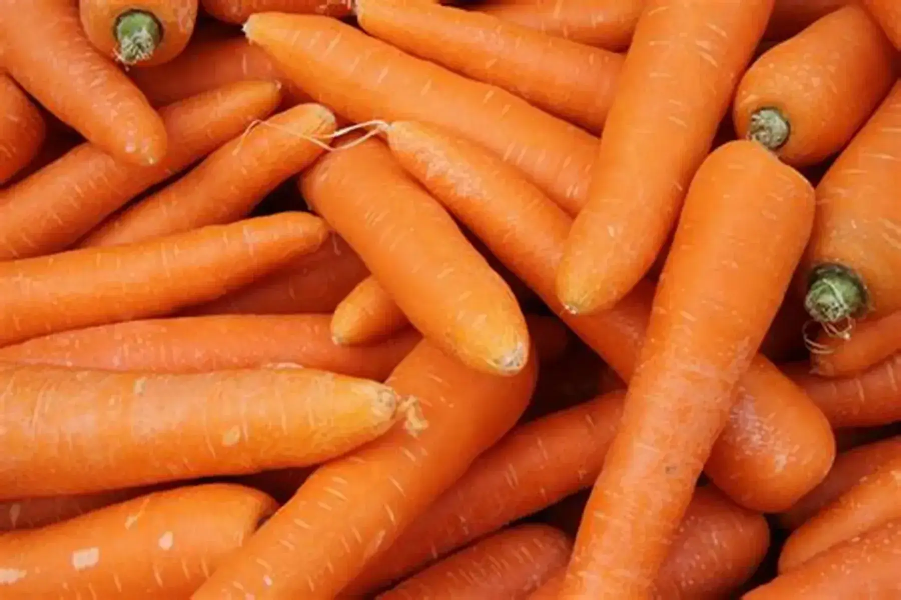 Les Légumes d'ici et d'ici