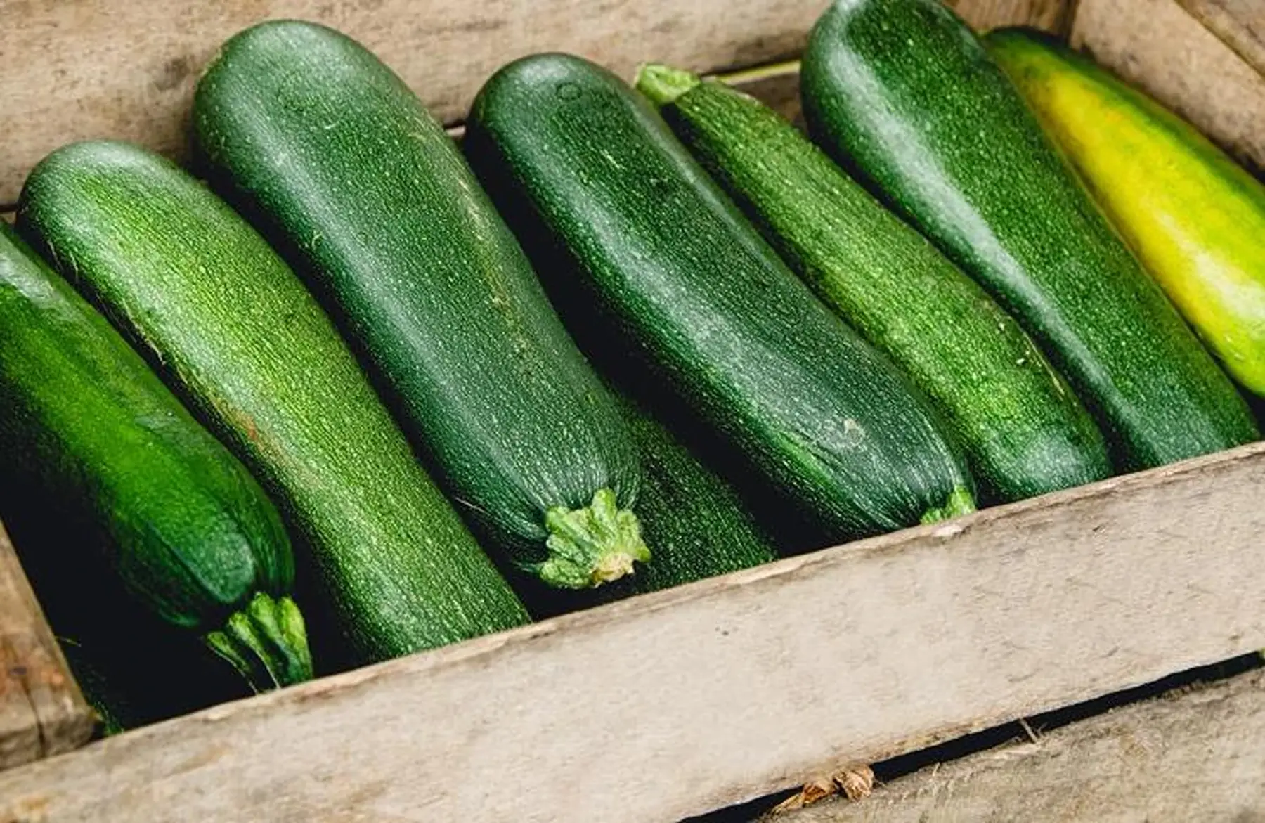courgette gros calibre (moitié prix)