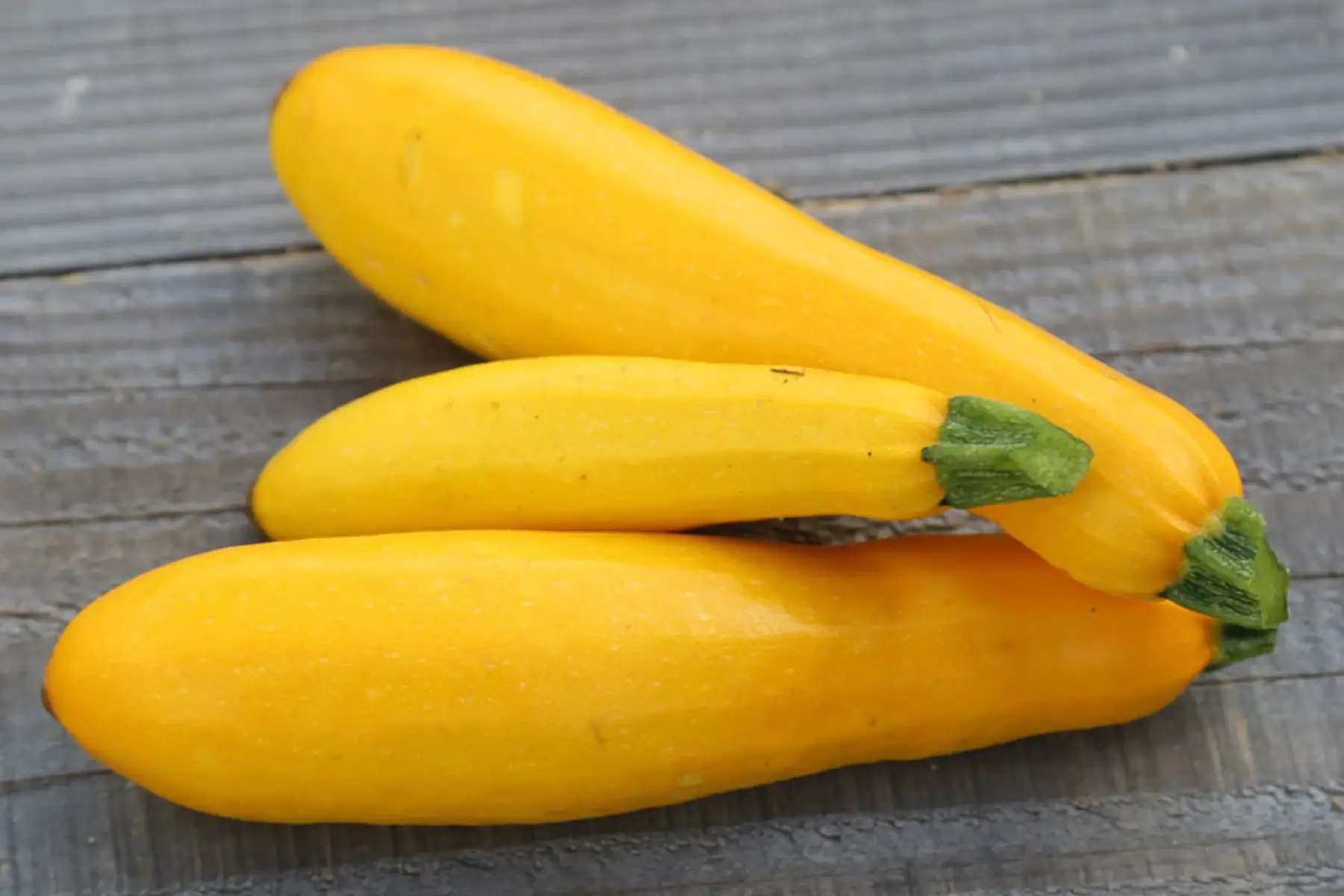 le champ a contre vent