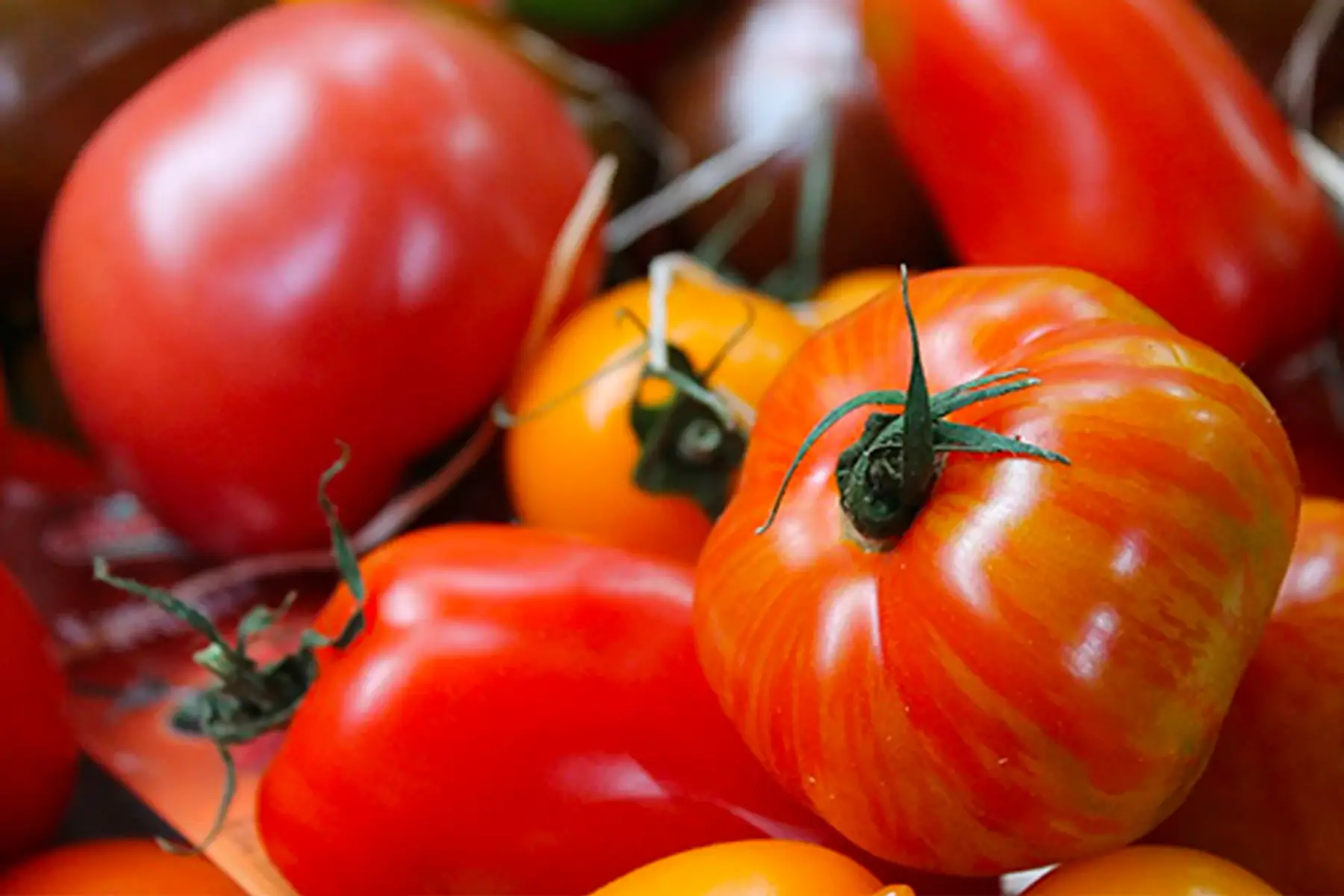 tomates sauce/coulis rabais