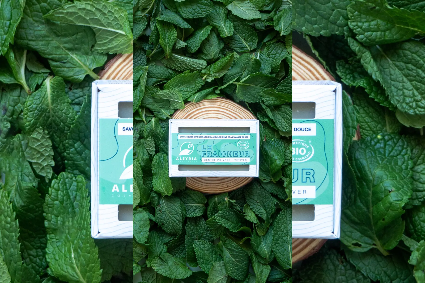 savon solide - le fraicheur