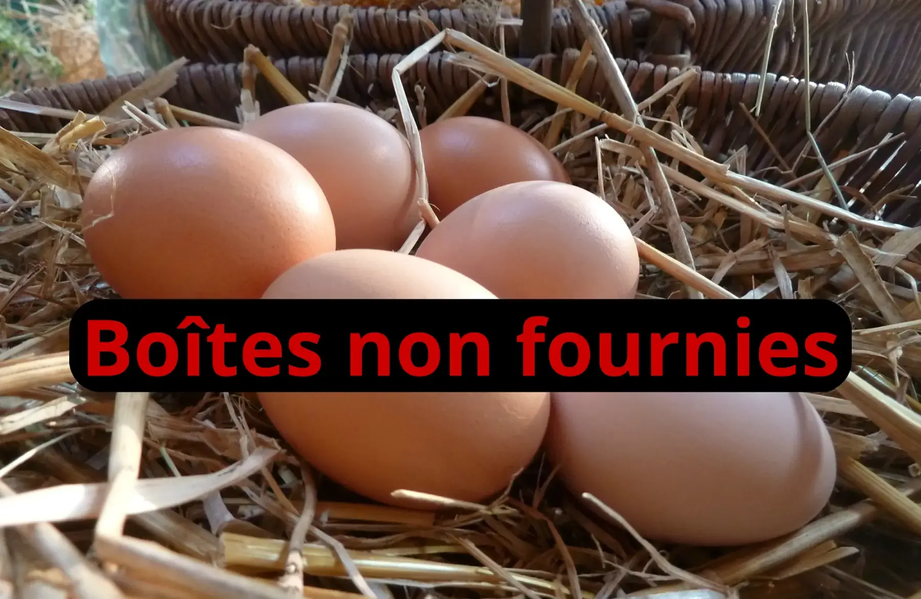 Oeufs de poule sans boîte