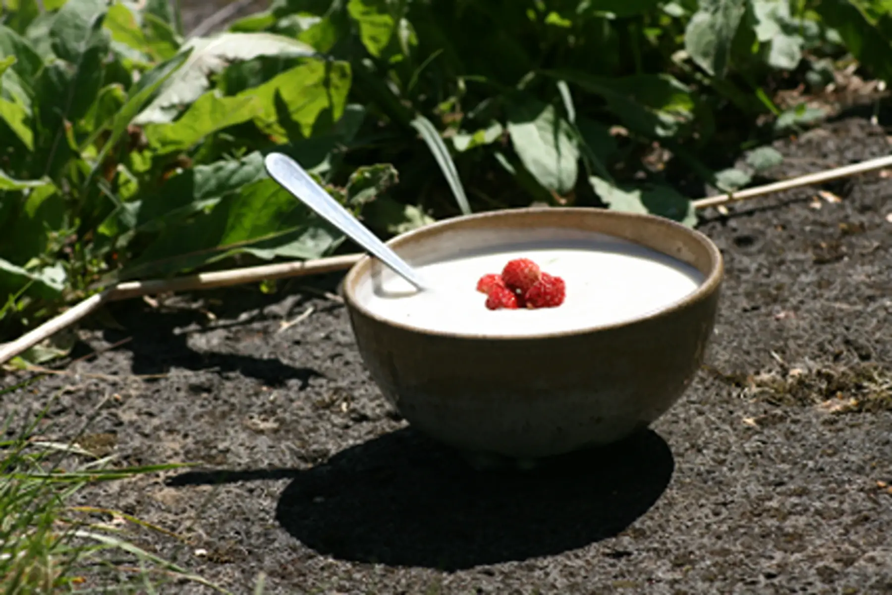 fromage blanc lissé