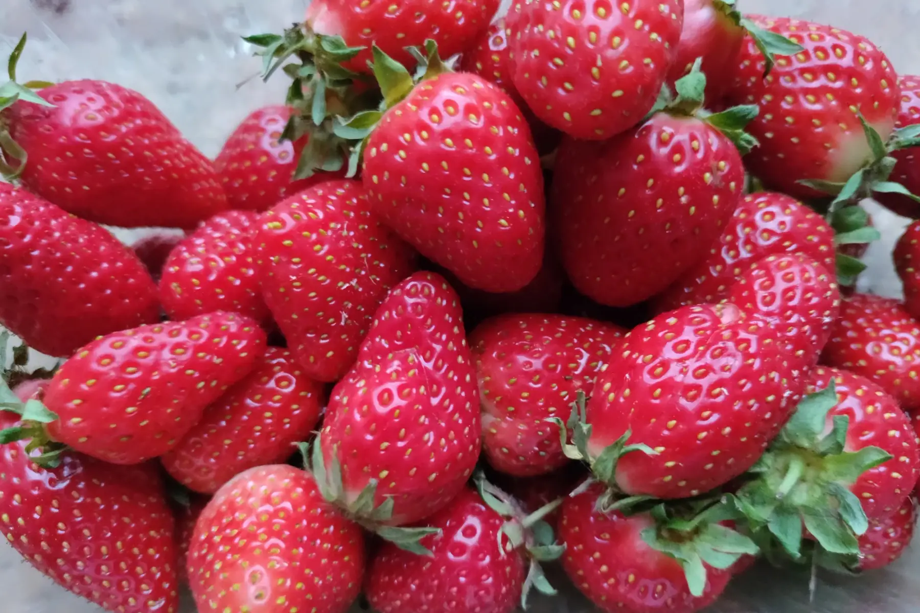 fraises