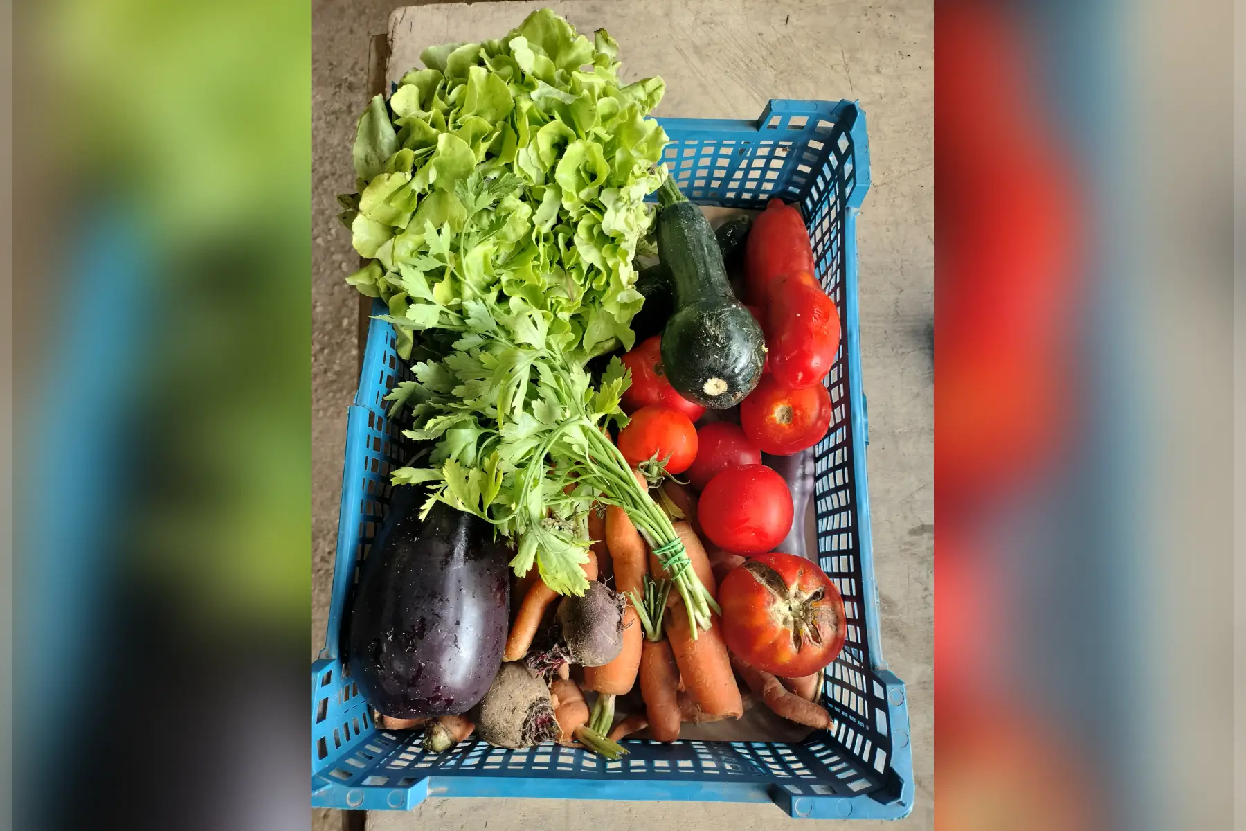 panier de légume déclasser