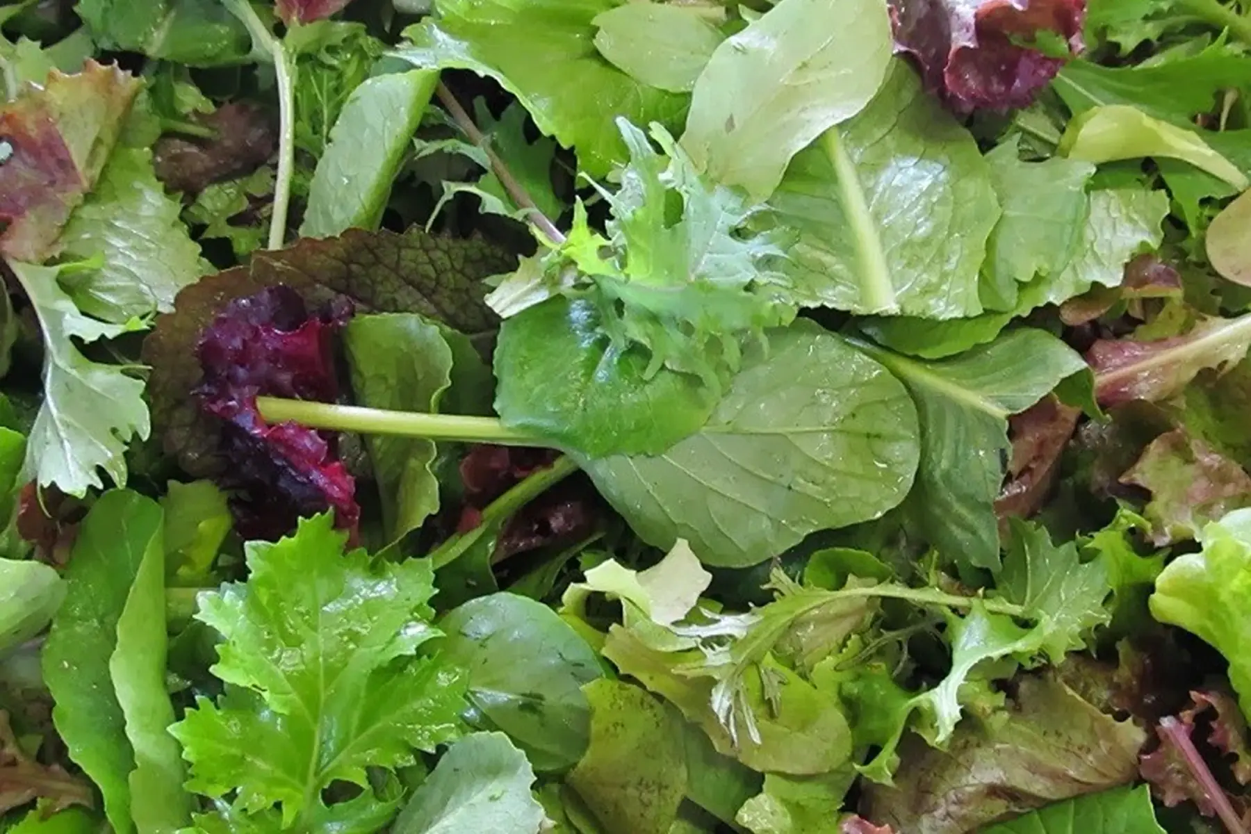 mesclun