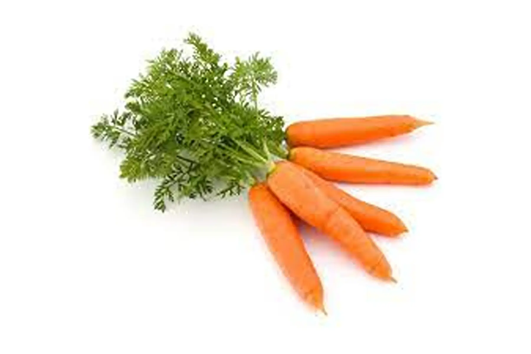 carotte botte (650-700g)