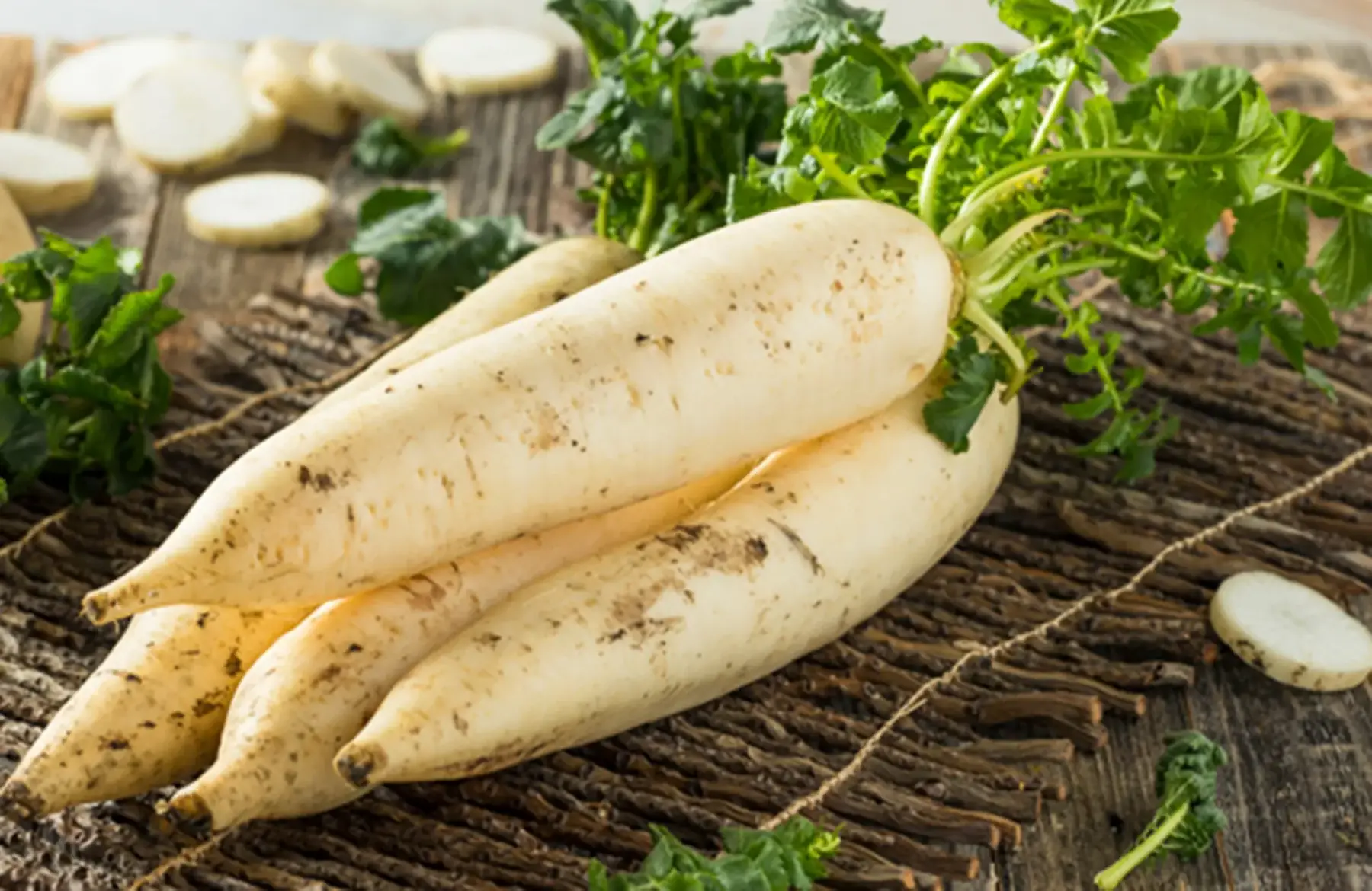 radis daïkon