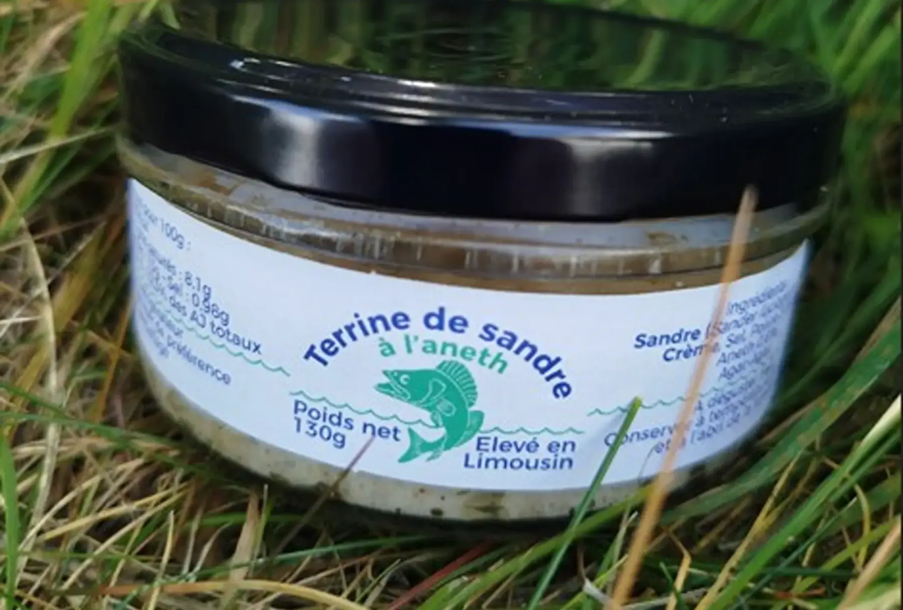 Sandre - TERRINE DE SANDRE A L'ANETH