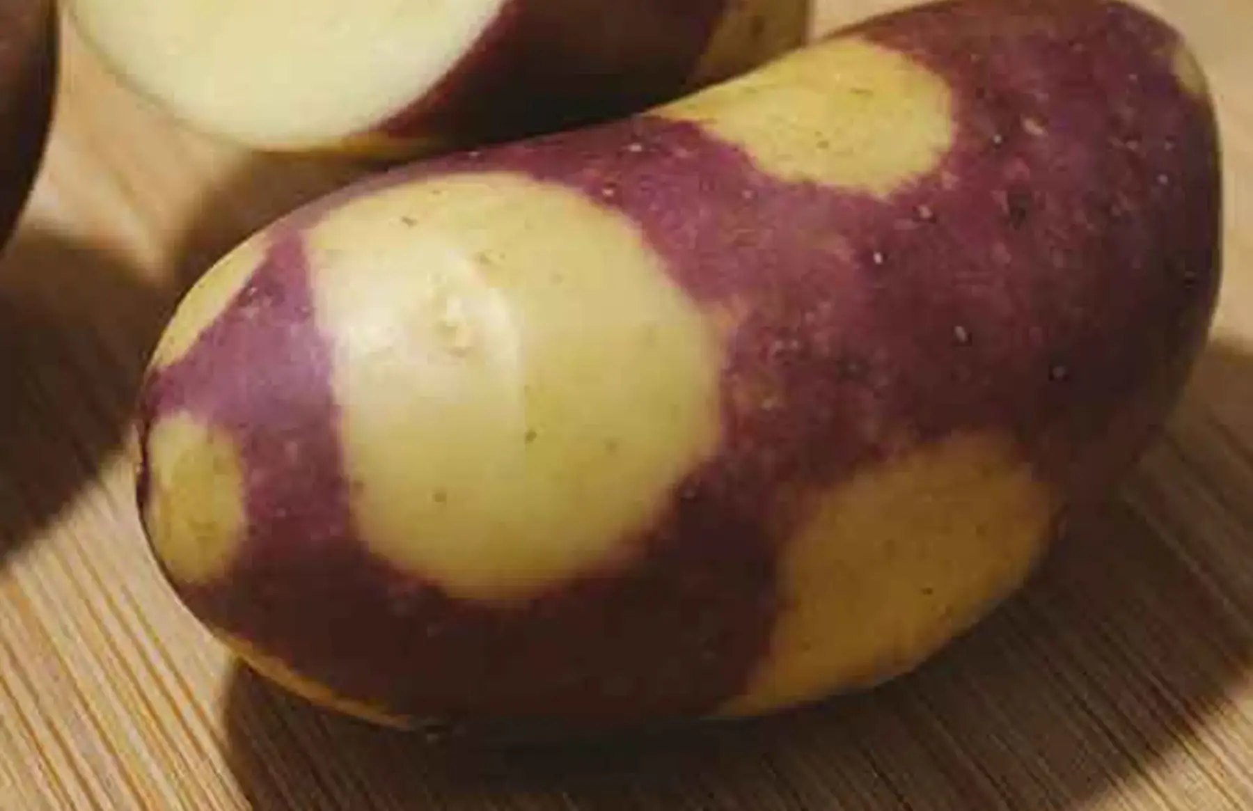 Pommes de Terre - Nouvelles