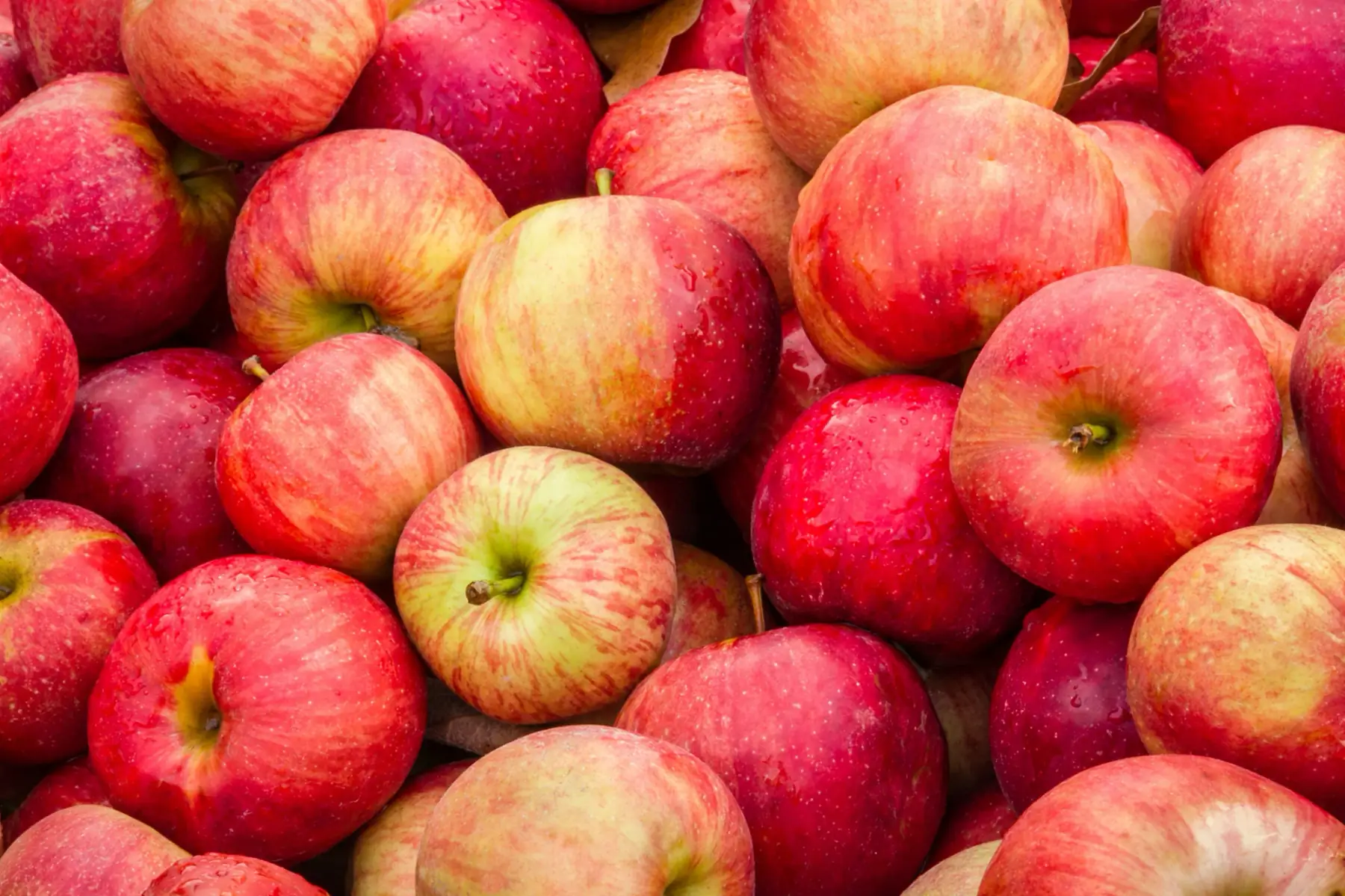 Pomme Braeburn