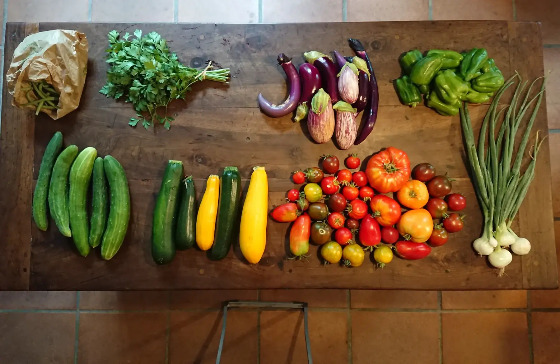 Panier de légumes bio