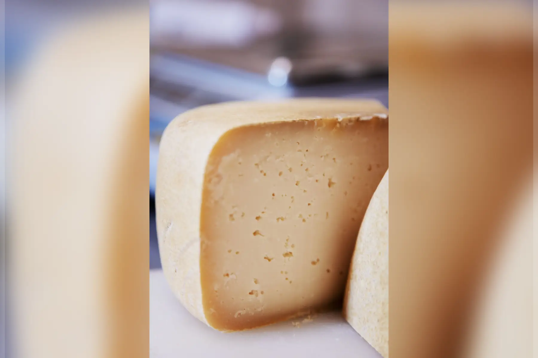 tome jeune de brebis 400g (+/- 10%) au lait cru bio et fermière