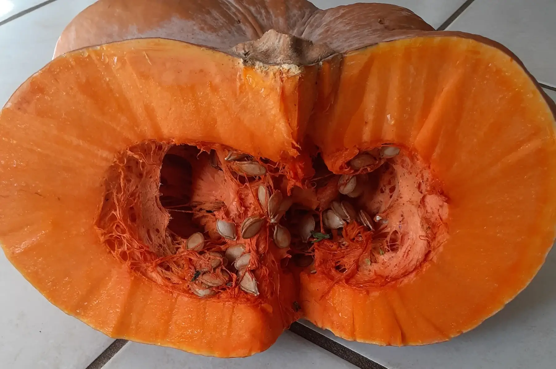 citrouille
