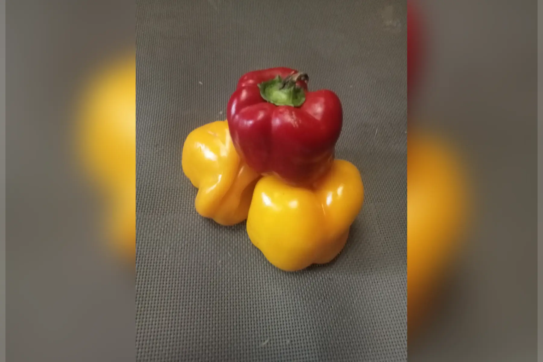 poivron