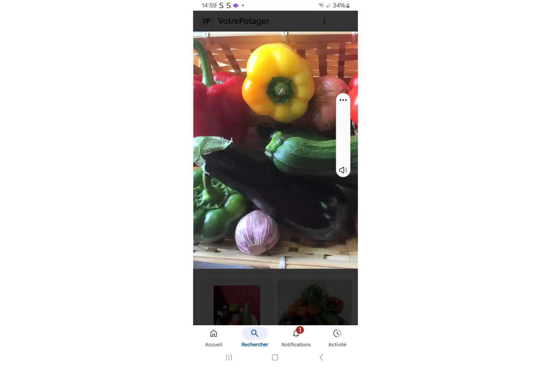 Panier ratatouille