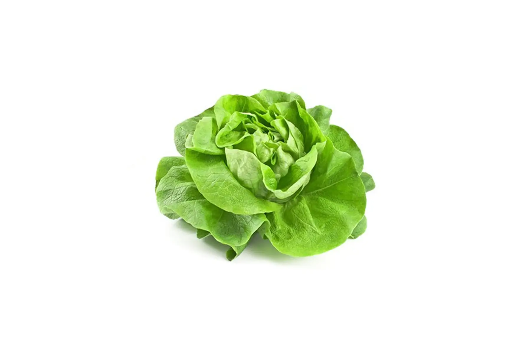 panier salade
