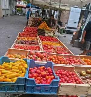 jerome laborde (le jardin de bel air)