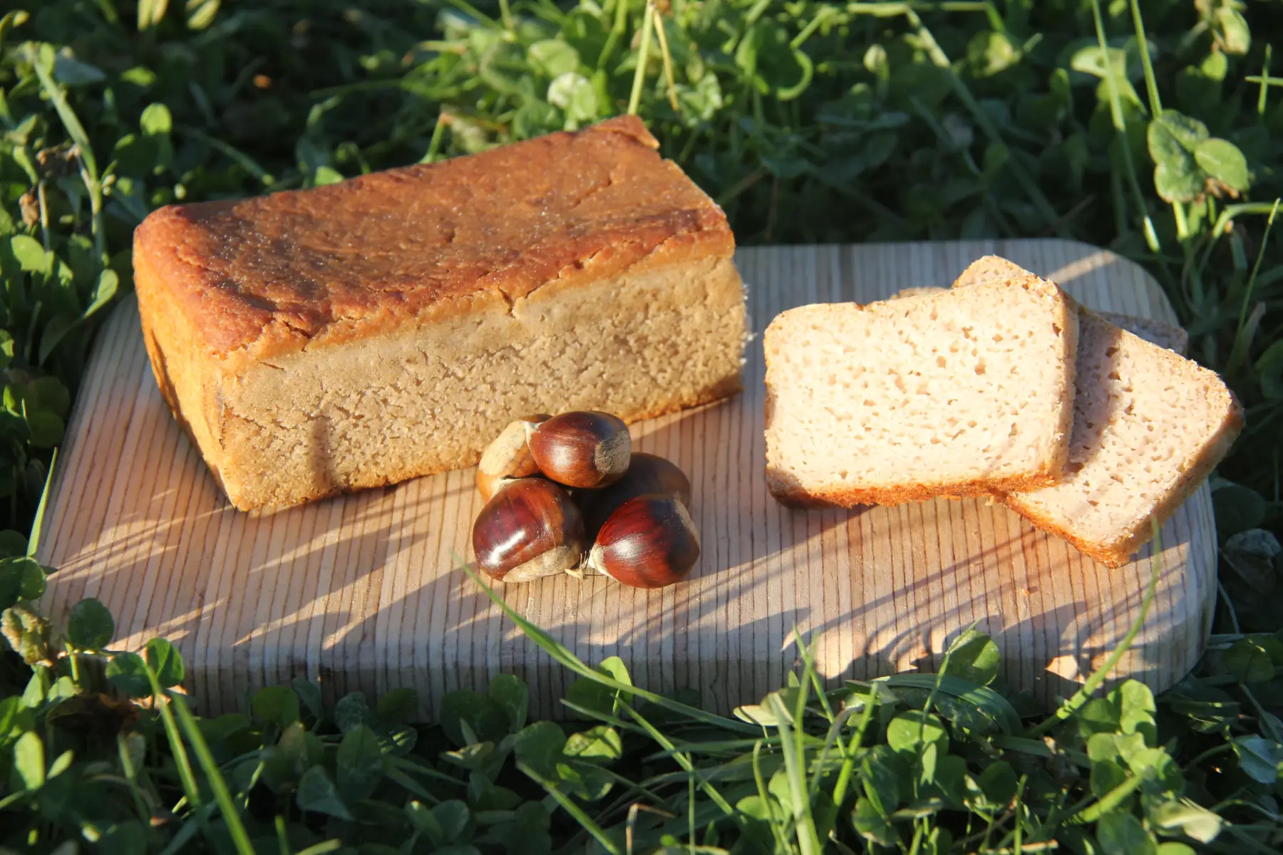 le sans -gluten 500gr env