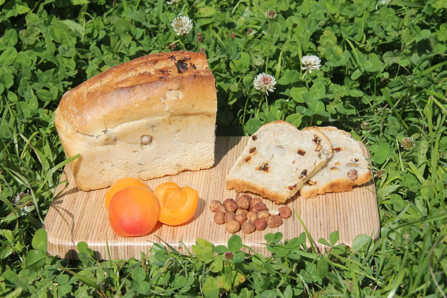 Pain abricots-noisettes