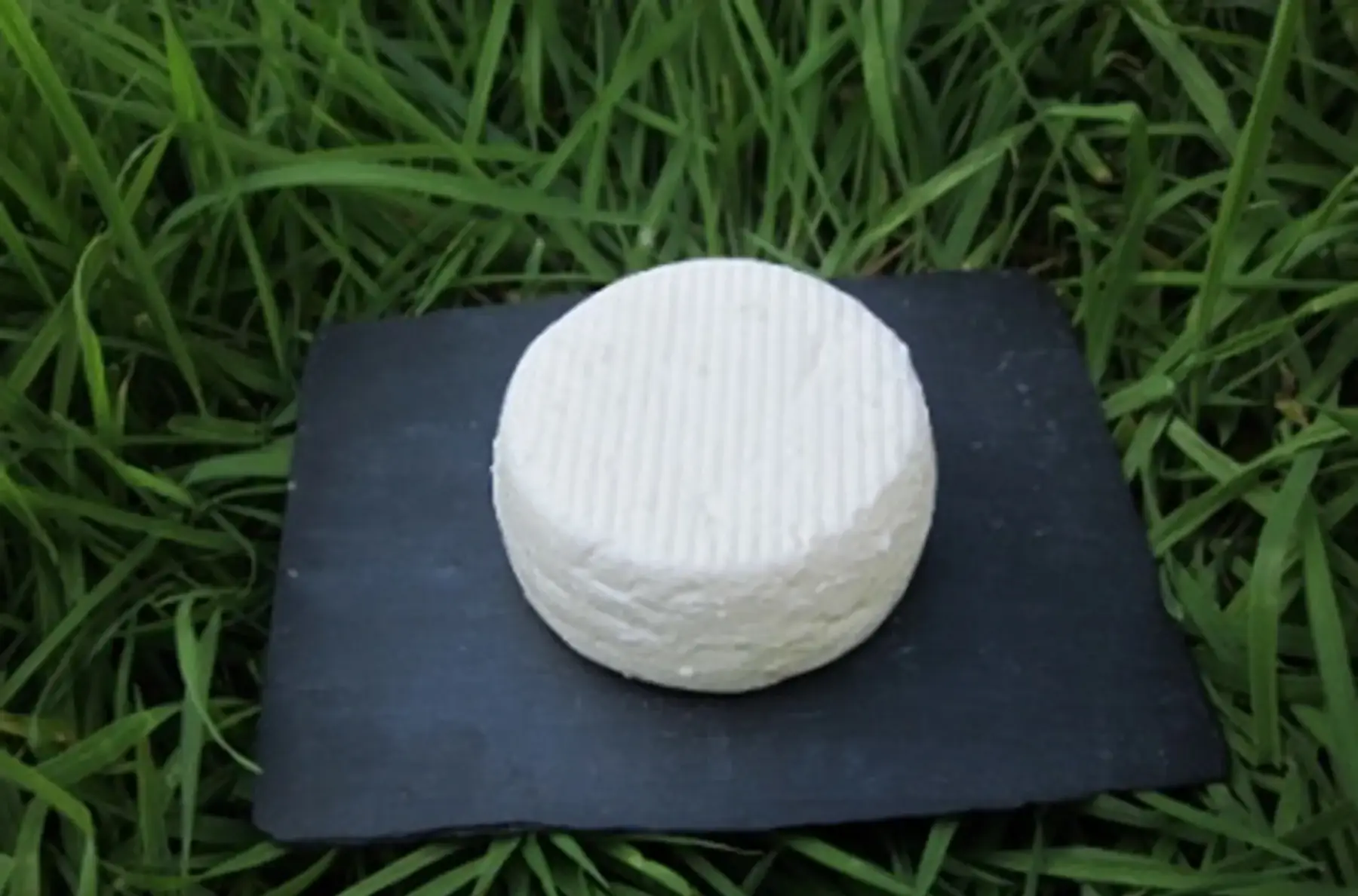Rond Frais Nature