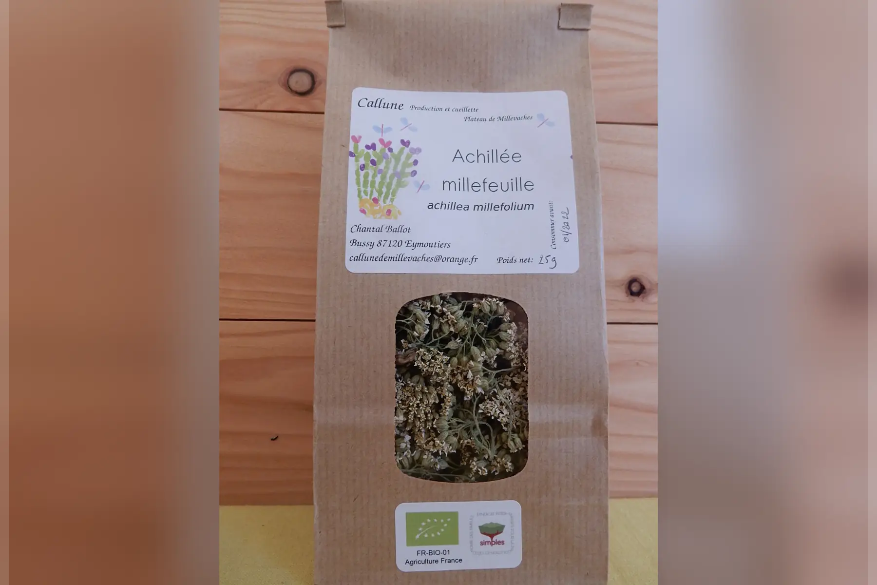 z achillée millefeuille