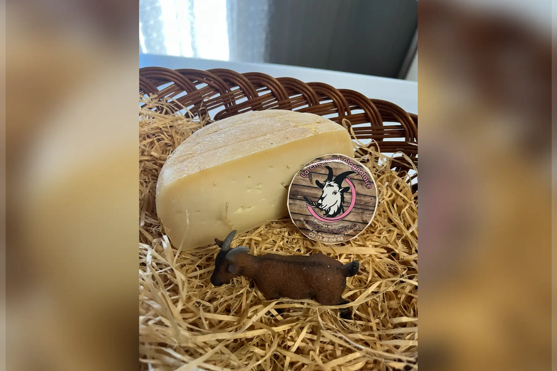 demi tomme chèvre