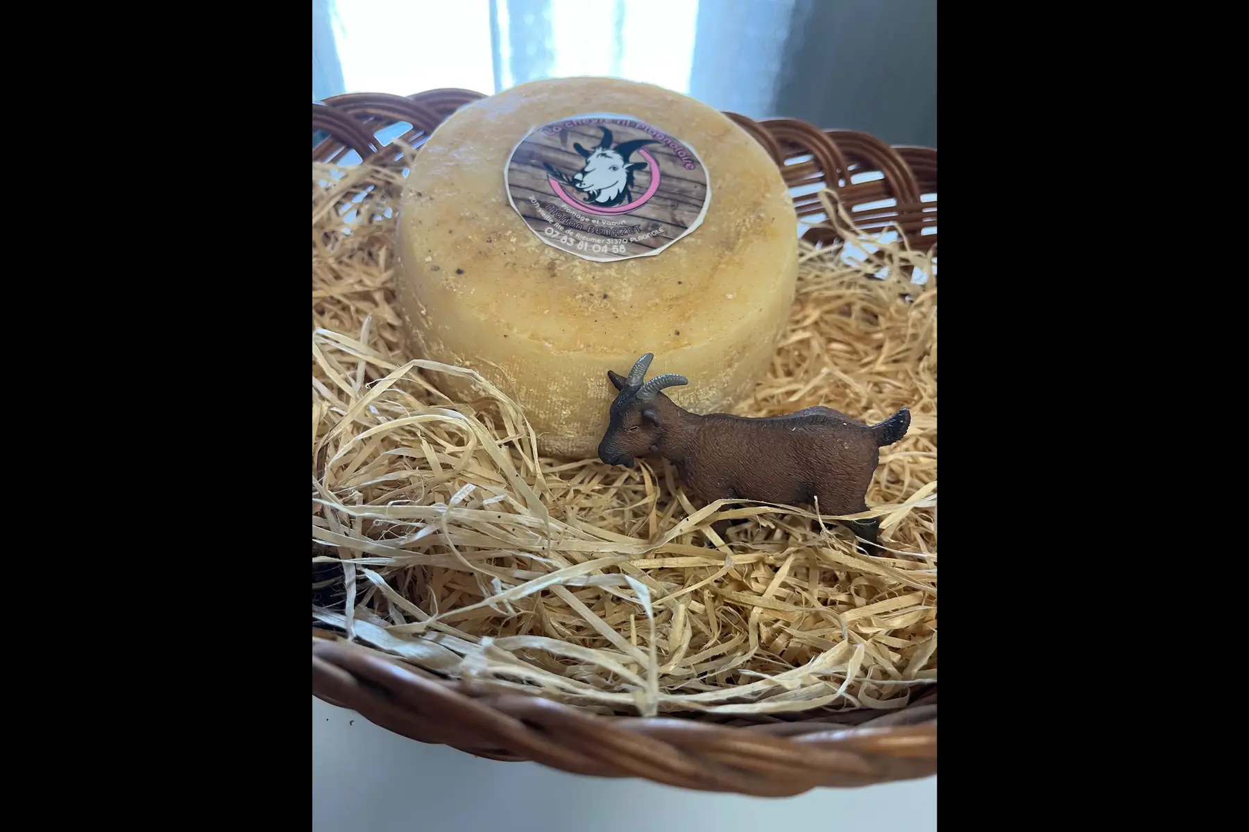 tomme chèvre