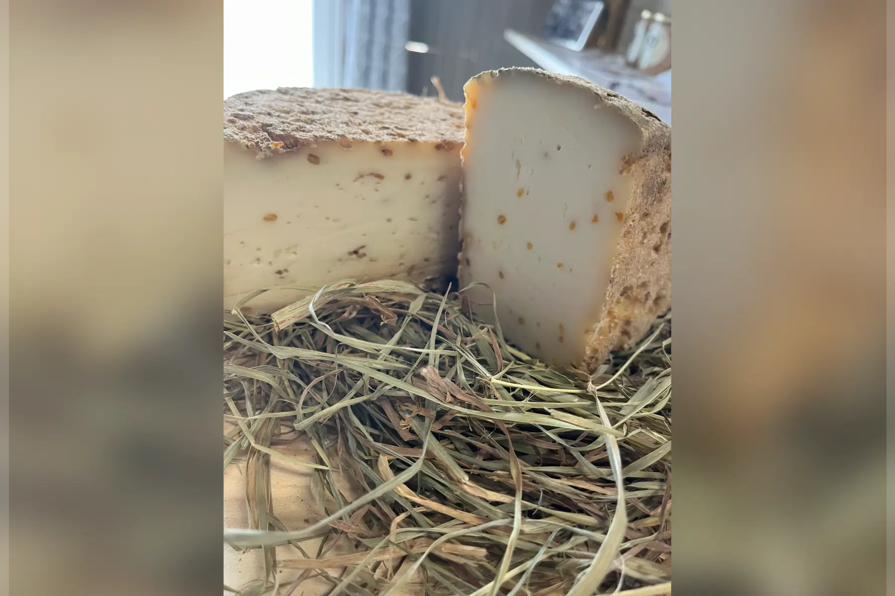 tomme fenugrec
