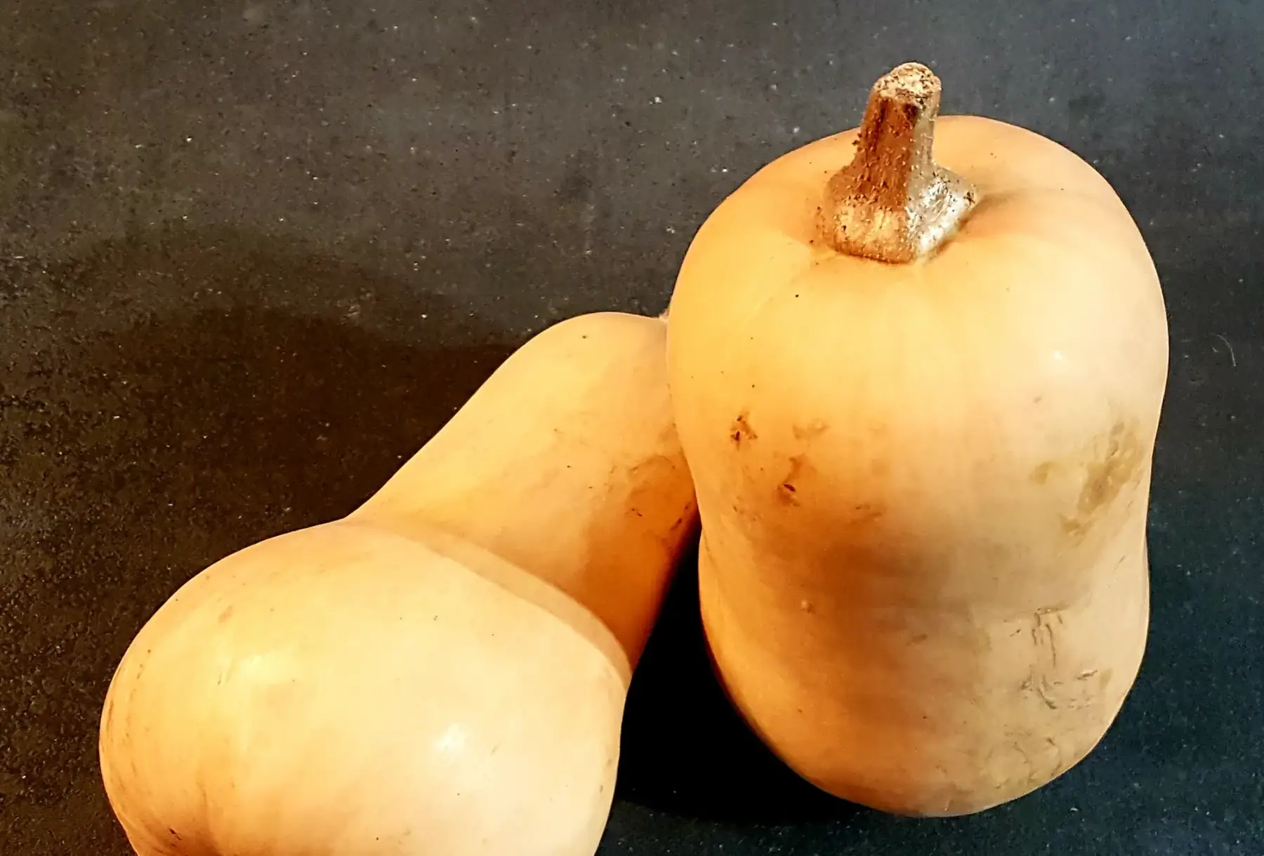 les jardins du Tellier